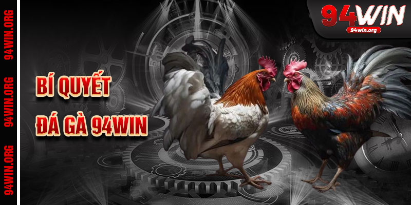 Bí Quyết Thành Công Khi Cá Cược Đá Gà 94win